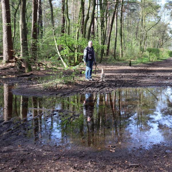 Horst Brochhagen macht sich schon seit mehr als sieben Jahren für eine Sanierung des Waldwegs stark. Foto: Uwe Schäfer