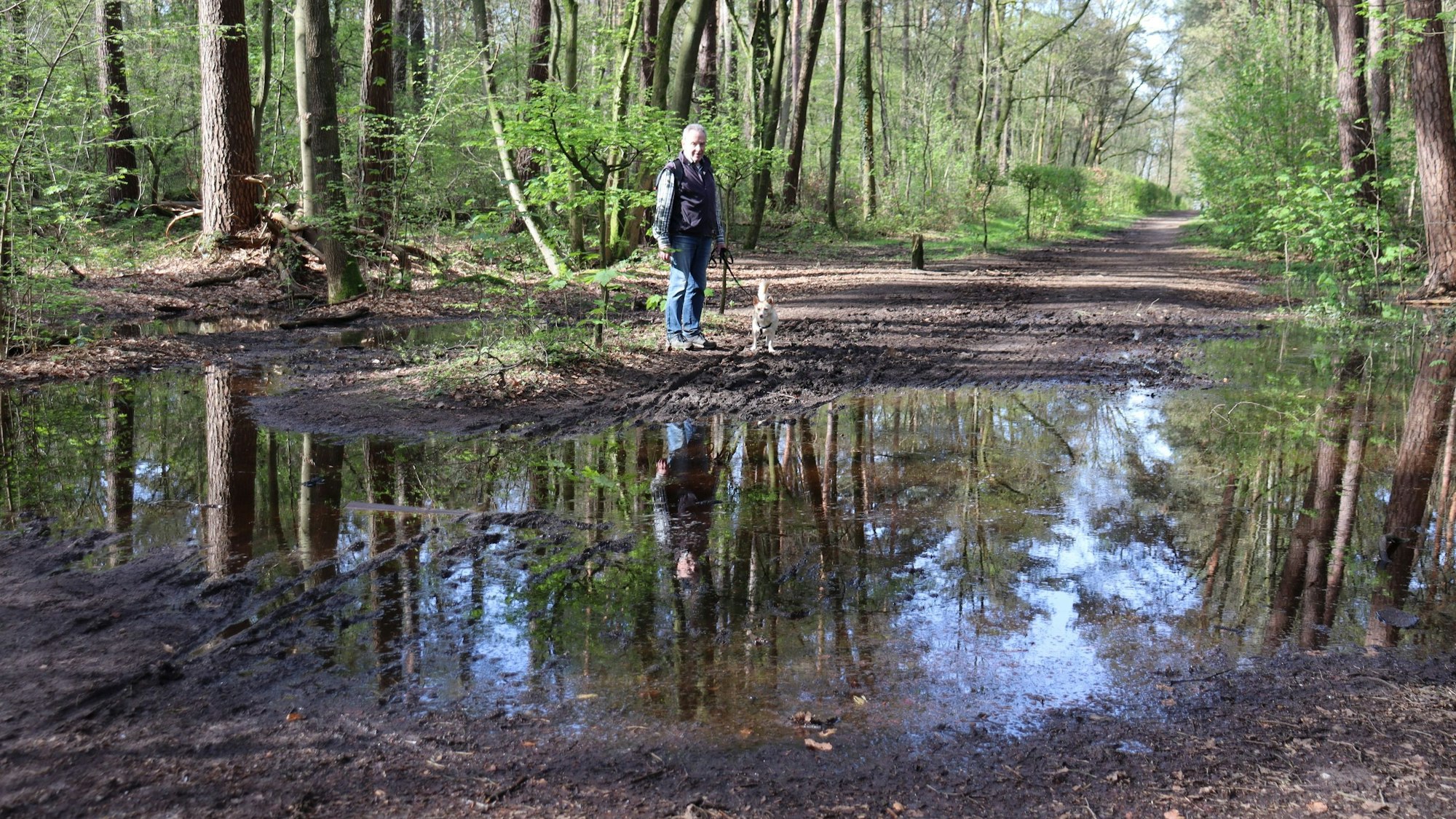 Horst Brochhagen macht sich schon seit mehr als sieben Jahren für eine Sanierung des Waldwegs stark. Foto: Uwe Schäfer