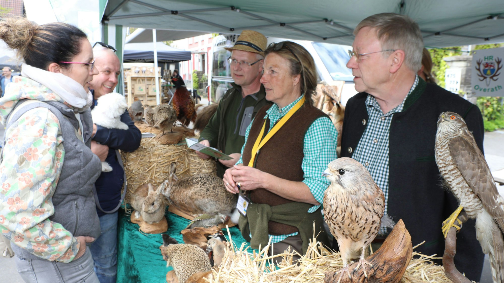 Ein Stand des Hegerings Overath mit der Waldschule steht auf dem Overather Frühling.