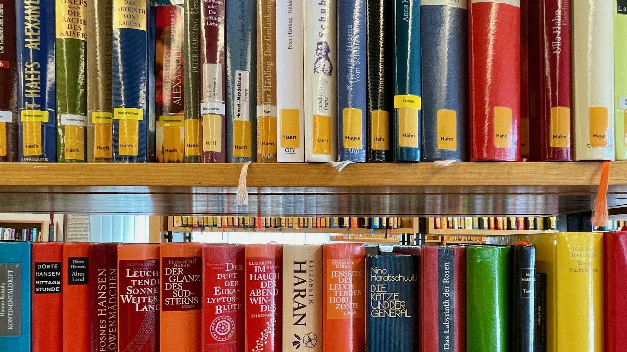 Blick auf Buchreihen