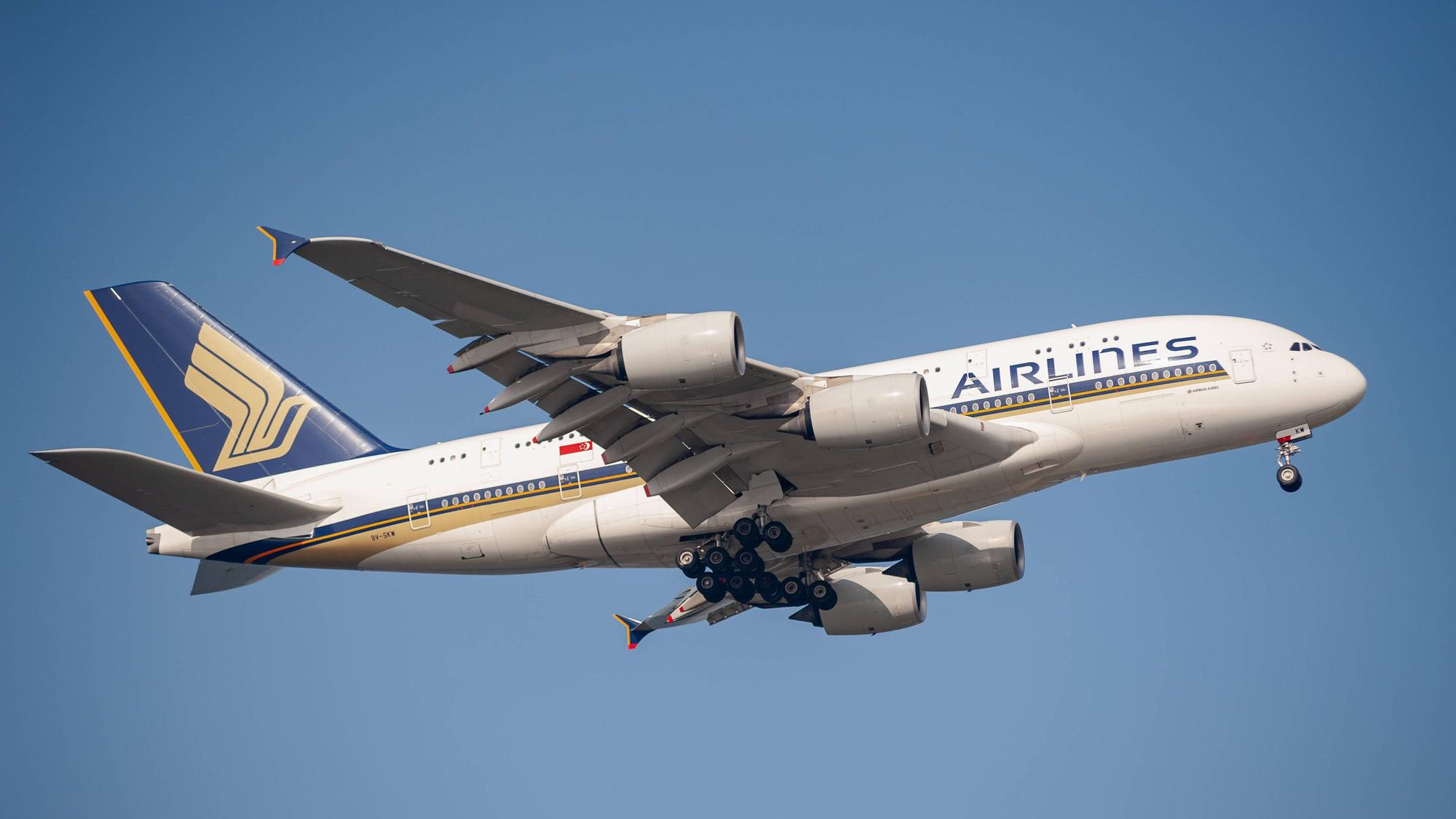 Ein Airbus A380 von Singapore Airlines kurz nach dem Start. Das Flugzeug ist markant in blau und gold lackiert. (Symbolbild)