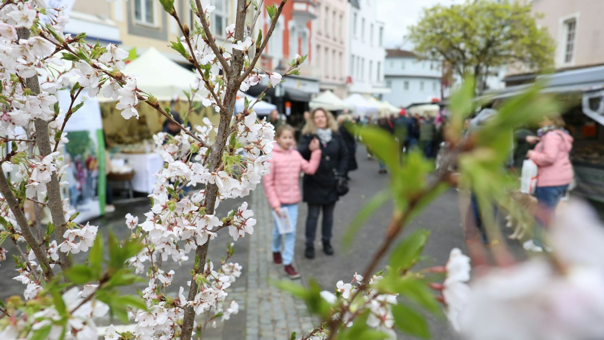 Hinter blühenden Zweigen sind Besucher und mehrere Stände von Ausstellern in der City zu sehen.