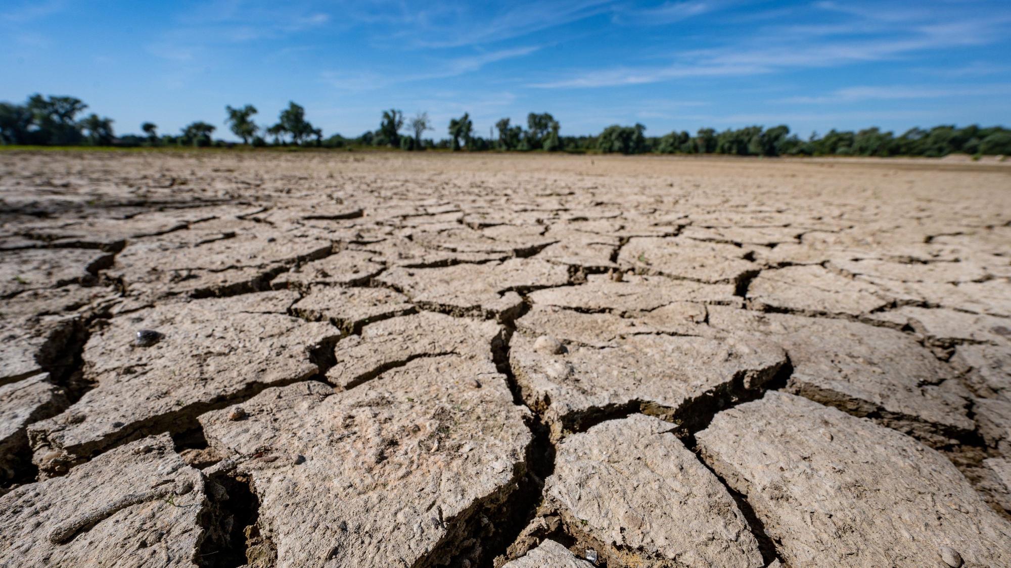 Klimaschutz als Menschenrecht: Eine Klage der „Klimaseniorinnen“ eröffnet neue Möglichkeiten.