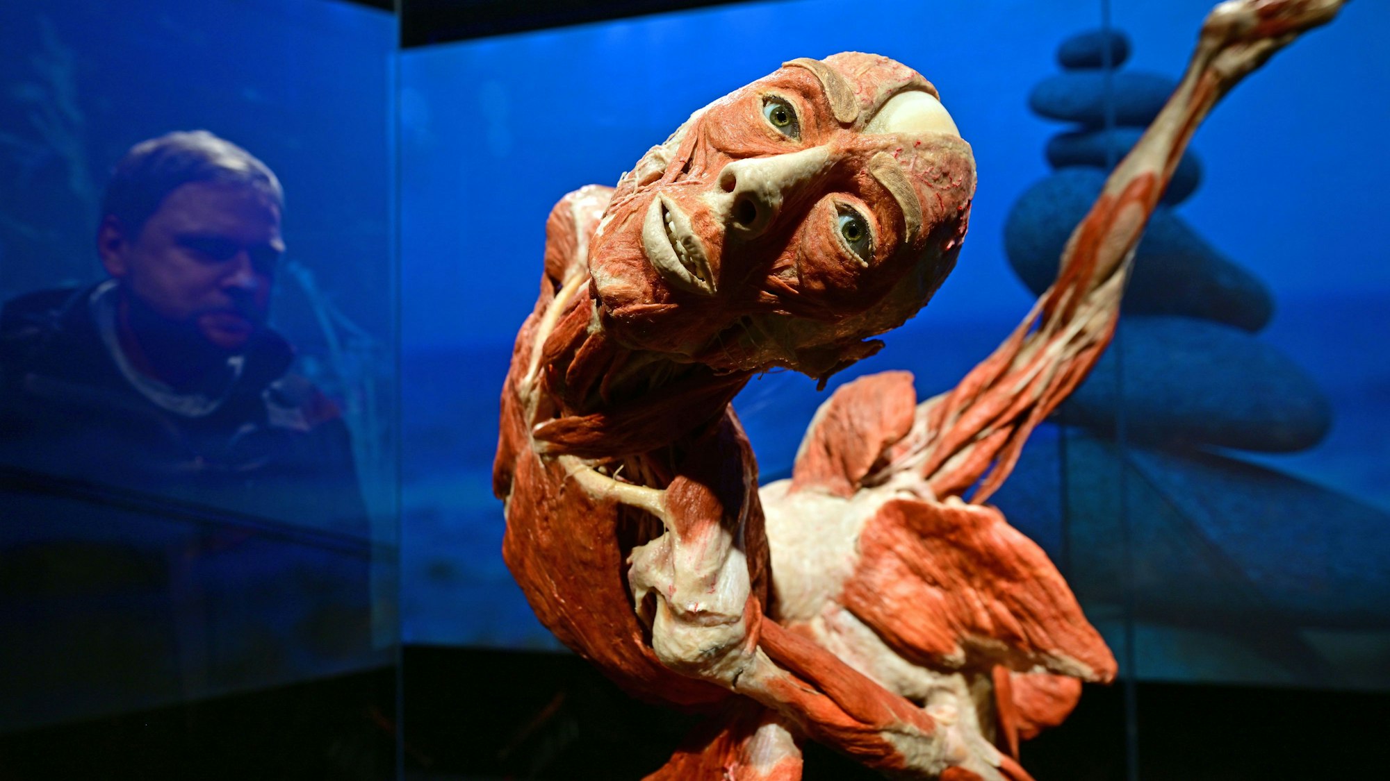 Auch das Exponat „Die Baletttänzerin“ wird in Köln zu sehen sein, so wie hier in Erfurt Anfang 2023.