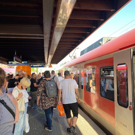 Ein Zug der S-Bahnlinie 11 hält im Sommer an einem vollen Bahnsteig in Köln.