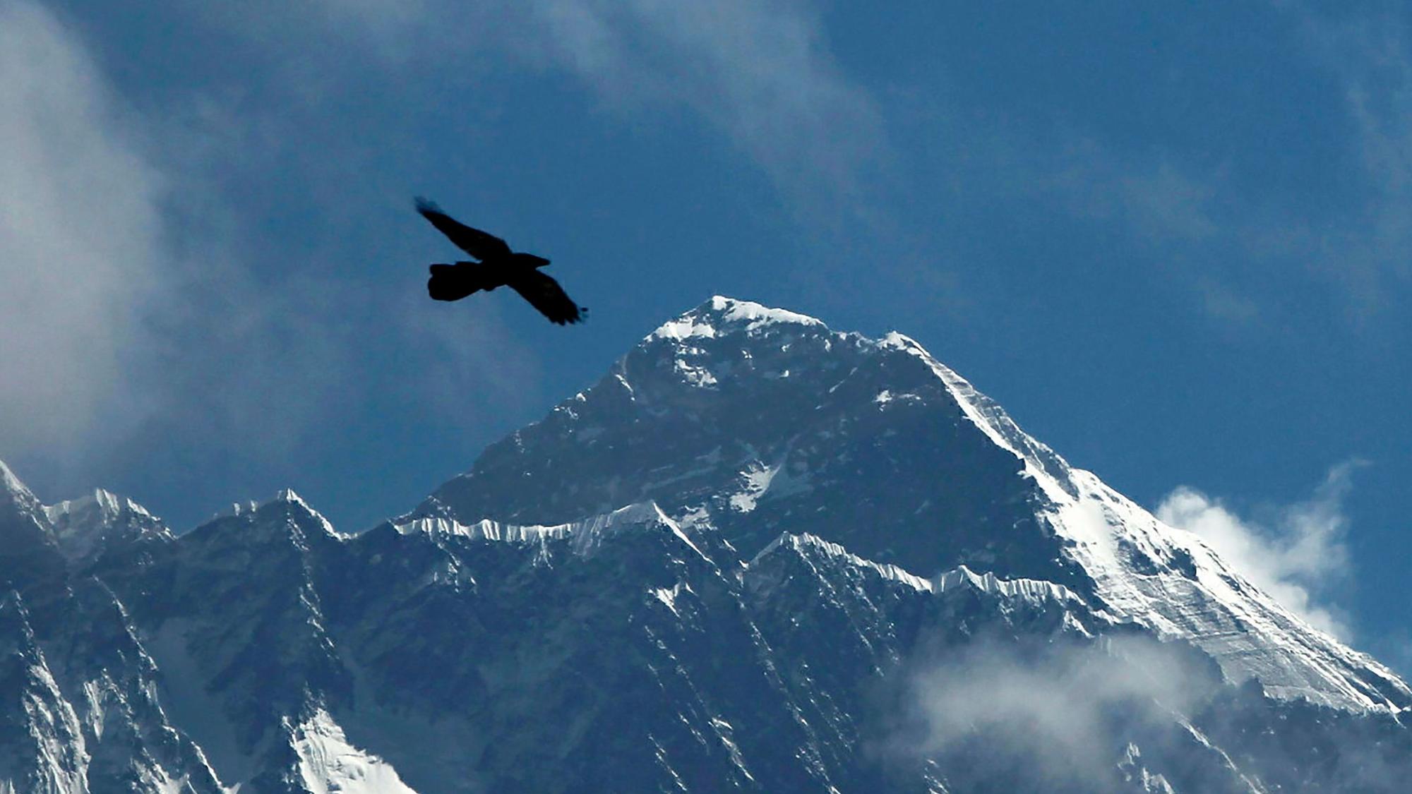 Ein Vogel fliegt vor dem Mount Everest, dem mit 8849 Metern höchsten Berg der Welt, entlang. Das nepalesische Militär will Leichen vom Gipfel des Berges bergen.