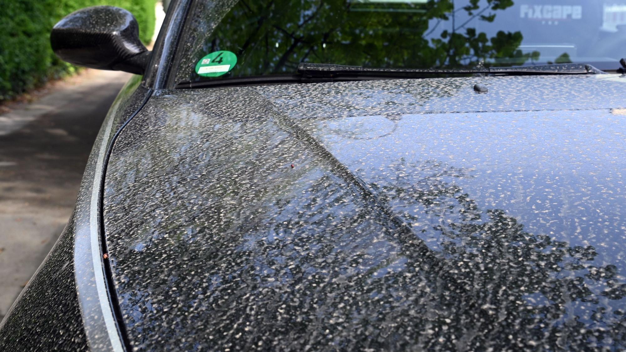 Saharastaub hat sich auf den Autos in der Stadt angesammelt.