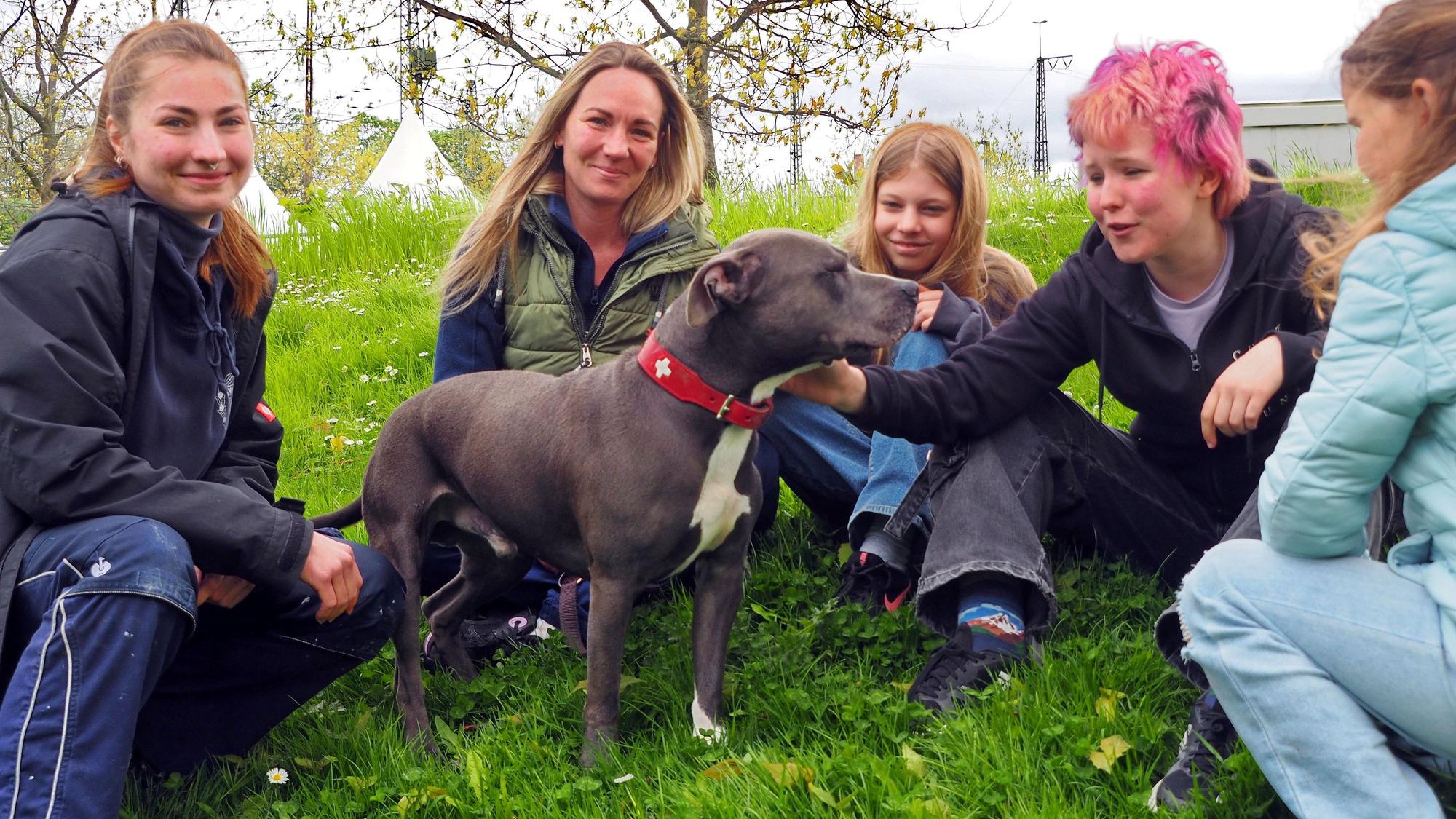 Azubi Leonie Richter, Nadine Schönrock, Maya, Tilda und Lale vergnügen sich mit Hades auf der Wiese am Tierheim.