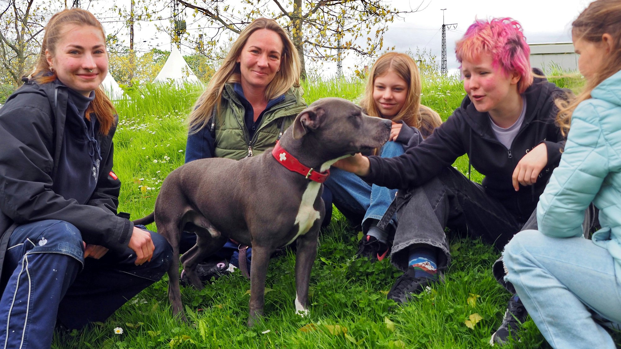 Azubi Leonie Richter, Nadine Schönrock, Maya, Tilda und Lale vergnügen sich mit Hades auf der Wiese am Tierheim.