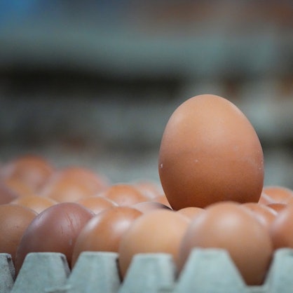 Braune Eier liegen in einer Verpackungshalle.