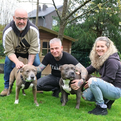 Hadern mit der Hundesteuer in Waldbröl (von links): Klaus Köster, Klaus und Katrin Vollmann mit Thyson und Cleo. Unser Foto zeigt die Gruppe beim Spielen im Garten.