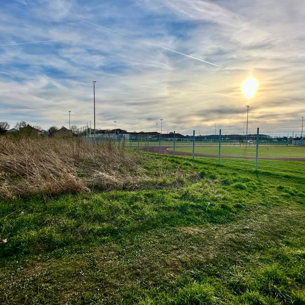 Im Neubaugebiet Rondorf Nordwest wird derzeit ein Investor gesucht, der eine Grundschule errichten will. Im Plan ist das Gebiet neben dem Sportplatz der St. George School eingezeichnet.