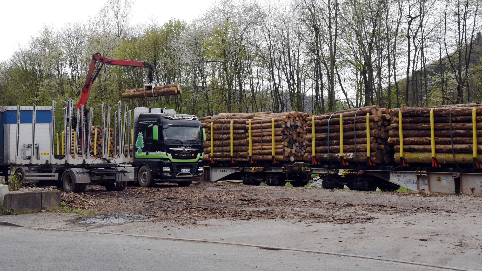Ein Holztransporter verlädt mit einem Kran Fichtenholzstämme auf einen Eisnbahn-Wagen.