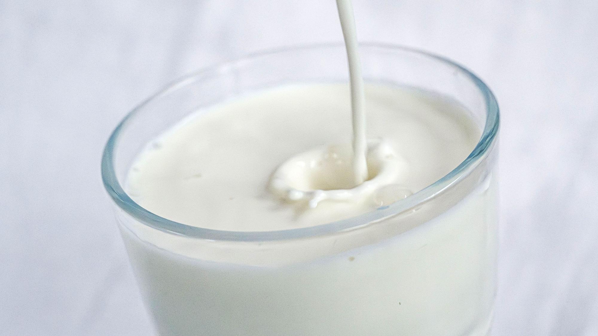 ARCHIV - 22.02.2024, Bremen: Milch wird in ein Glas gefüllt. (zu dpa: «Verbraucher verzehren weniger Milch, Käse und Butter») Foto: Sina Schuldt/dpa +++ dpa-Bildfunk +++