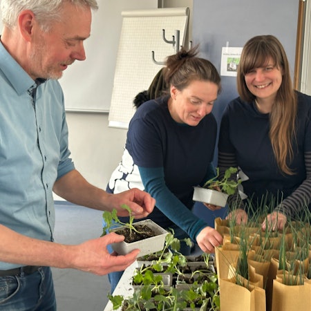 Das Projekt „Der heimische Garten als Klimaschützer“ der Hochschule Bonn-Rhein-Sieg. Professor Dr. Martin Hamer, Samantha Antonini und Alexandra Gutmann geben Testpflanzen an die Teilnehmer aus.