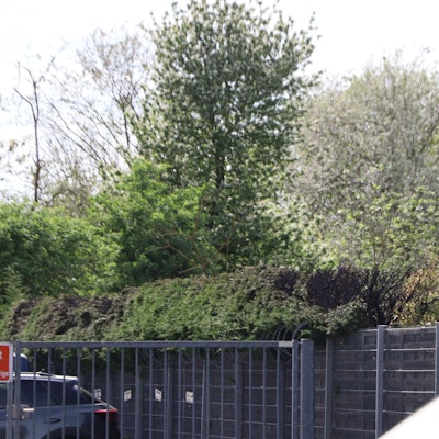 Auf einem Privatgrundstück brannte eine Hecke über eine Lange von 20 Metern.