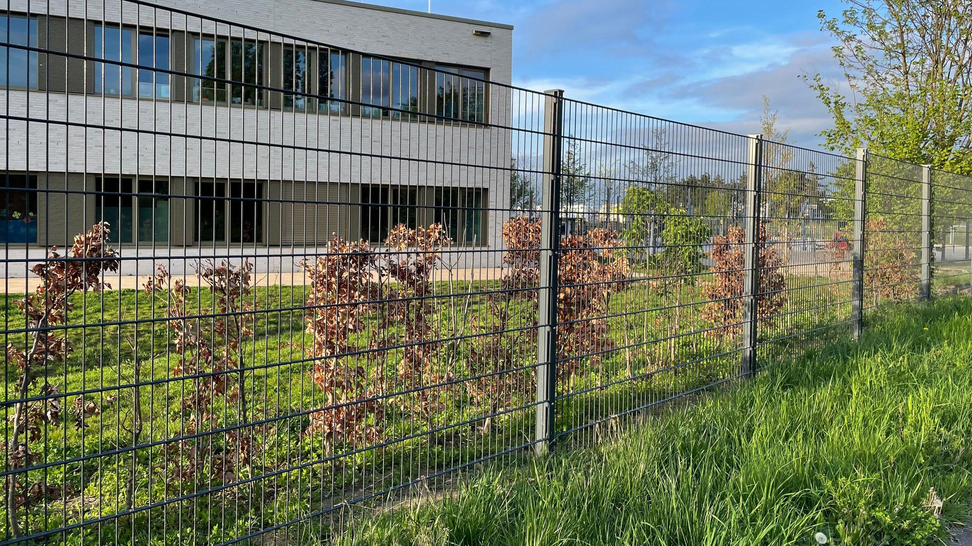 Hinter dem Zaun der EMA wurde nun eine Reihe Buchensträucher gepflanzt.