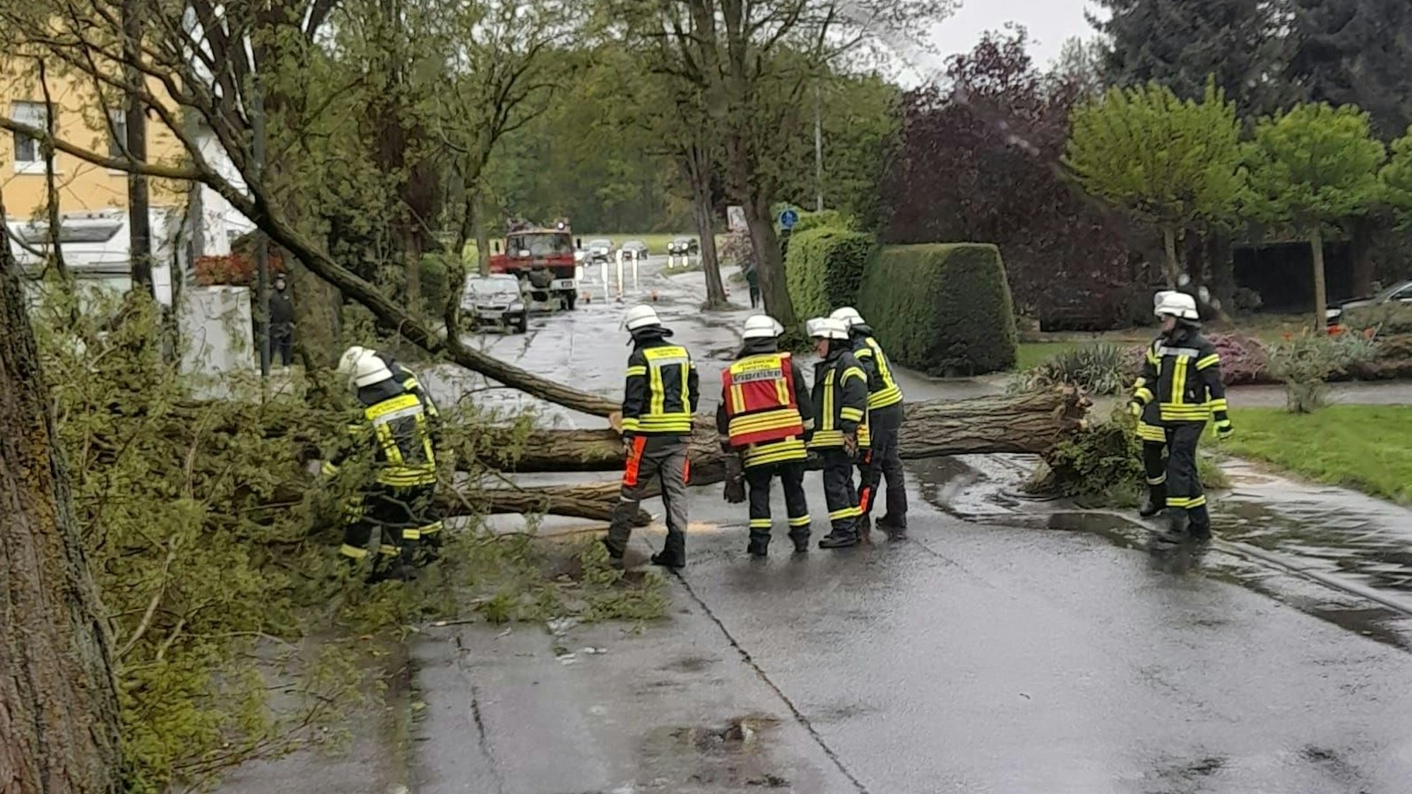 Ein Baum blockierte die Straße in Buschhoven.