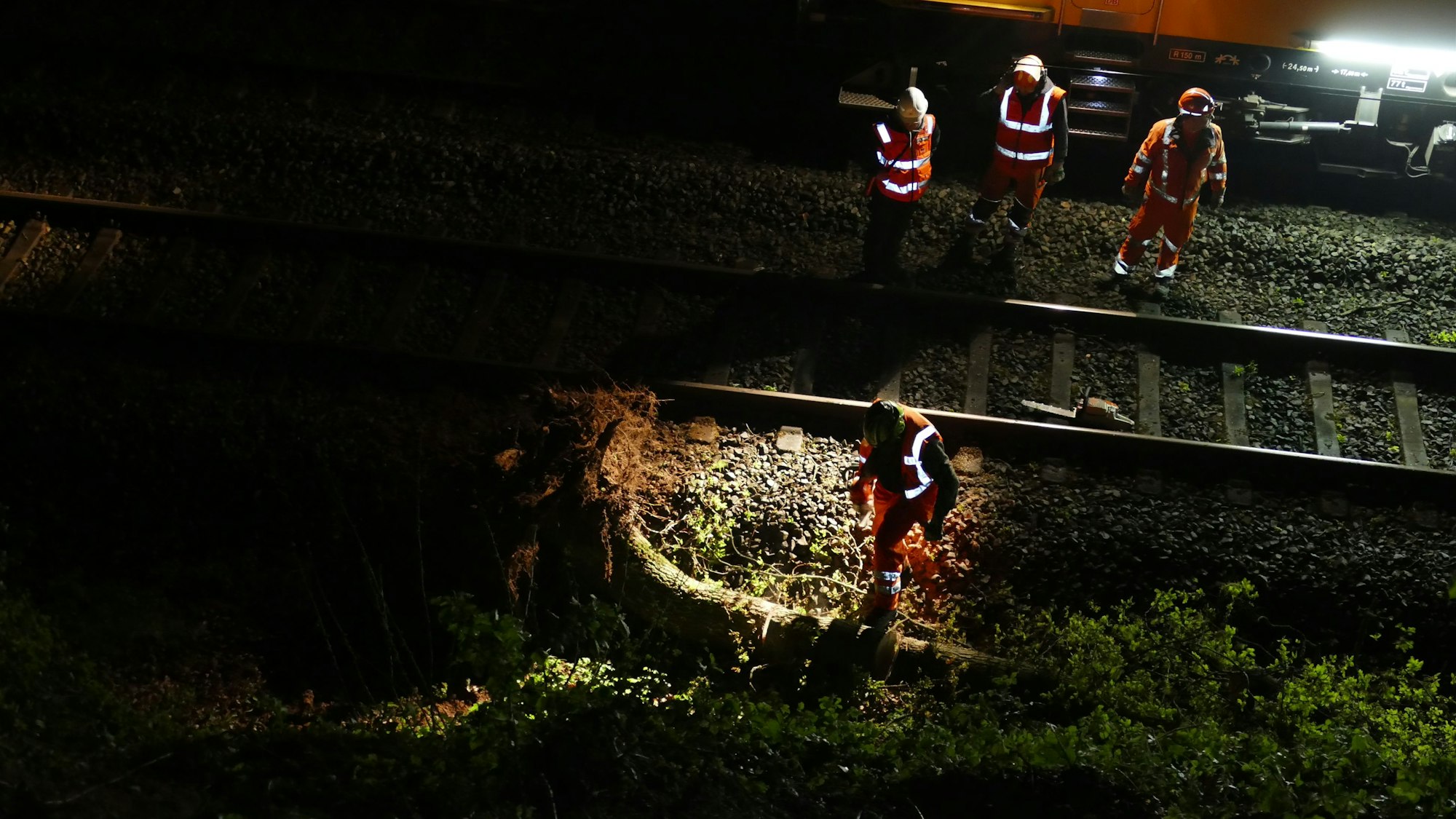 Arbeiter auf Bahngleisen stehen neben einem Baumstamm.