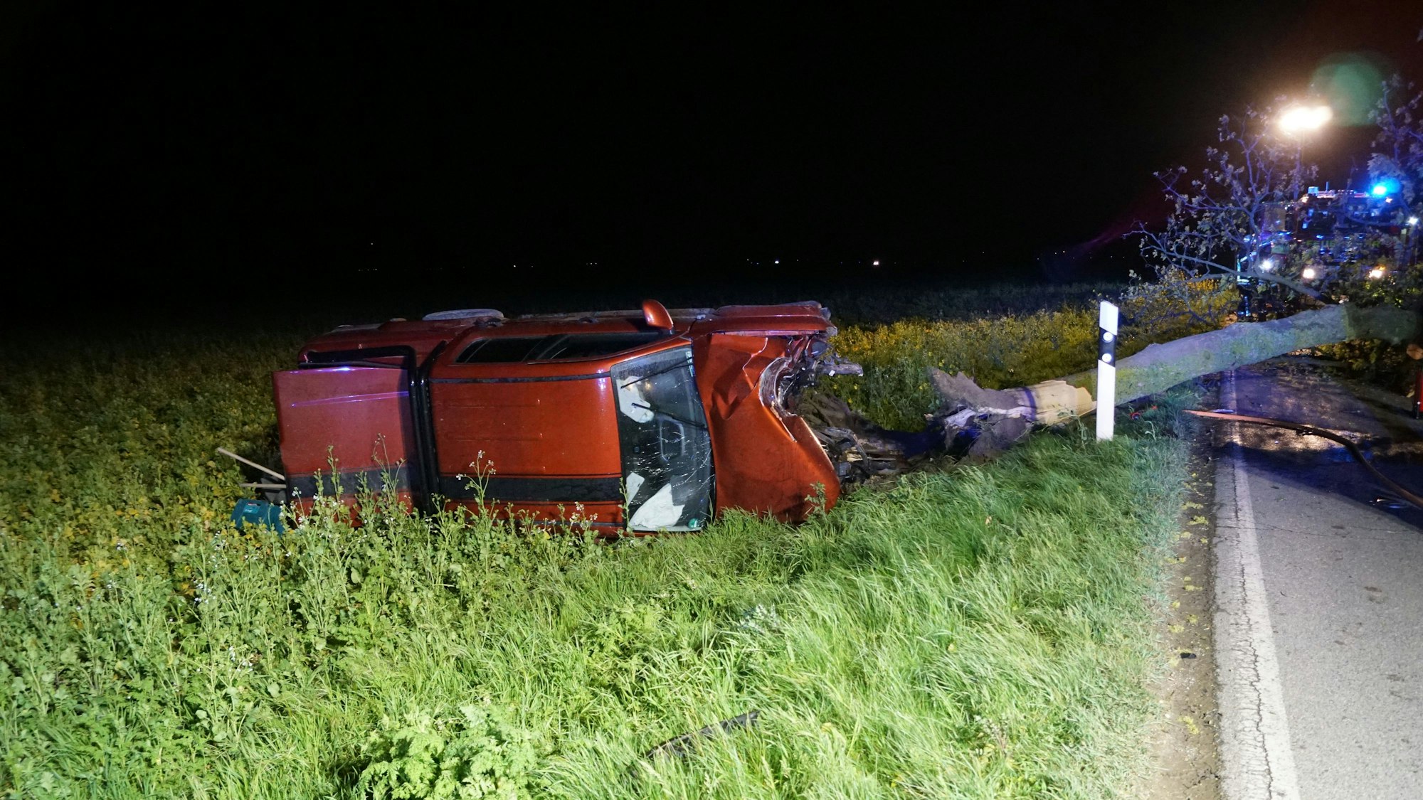 Das Bild zeigt den stark demolierten Pkw und den entwurzelten Baum.