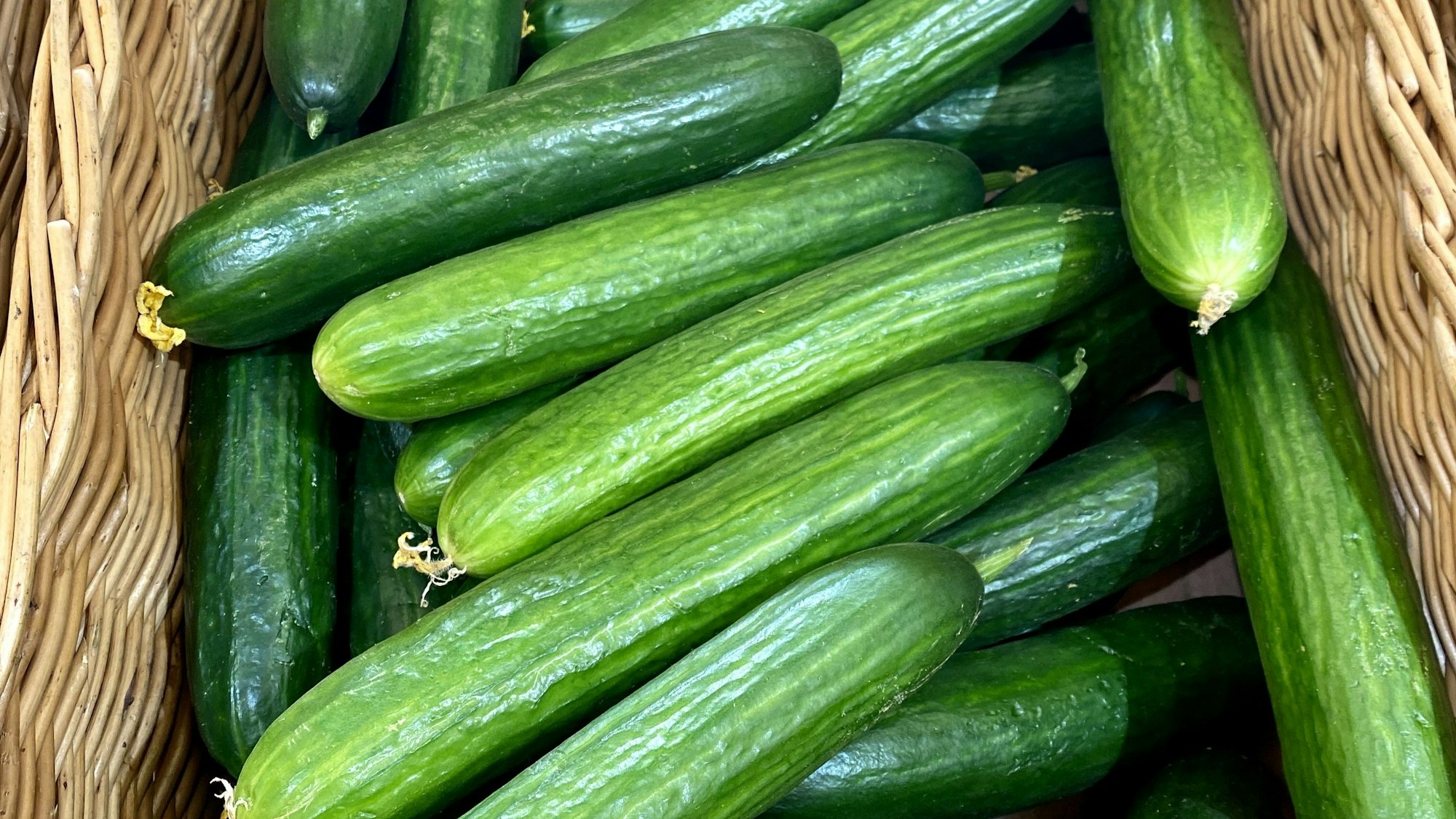 Nach dem erfolglosen Angriff Irans auf Israel gibt es in der arabischen Welt viel Spott für das Regime in Teheran – auch Gurken spielen dabei eine Rolle. (Symbolbild)