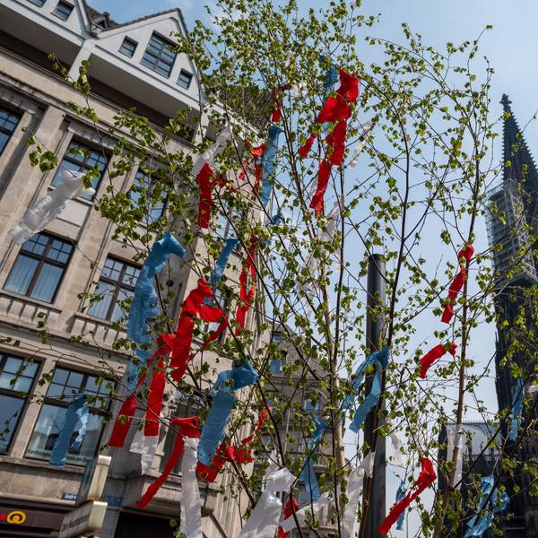 Maibaum vor dem Dom.