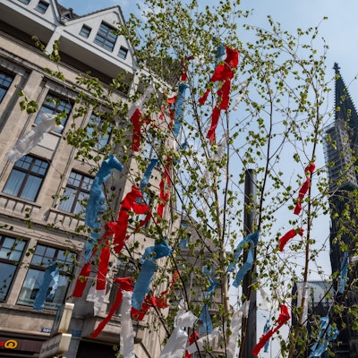 Maibaum vor dem Dom.