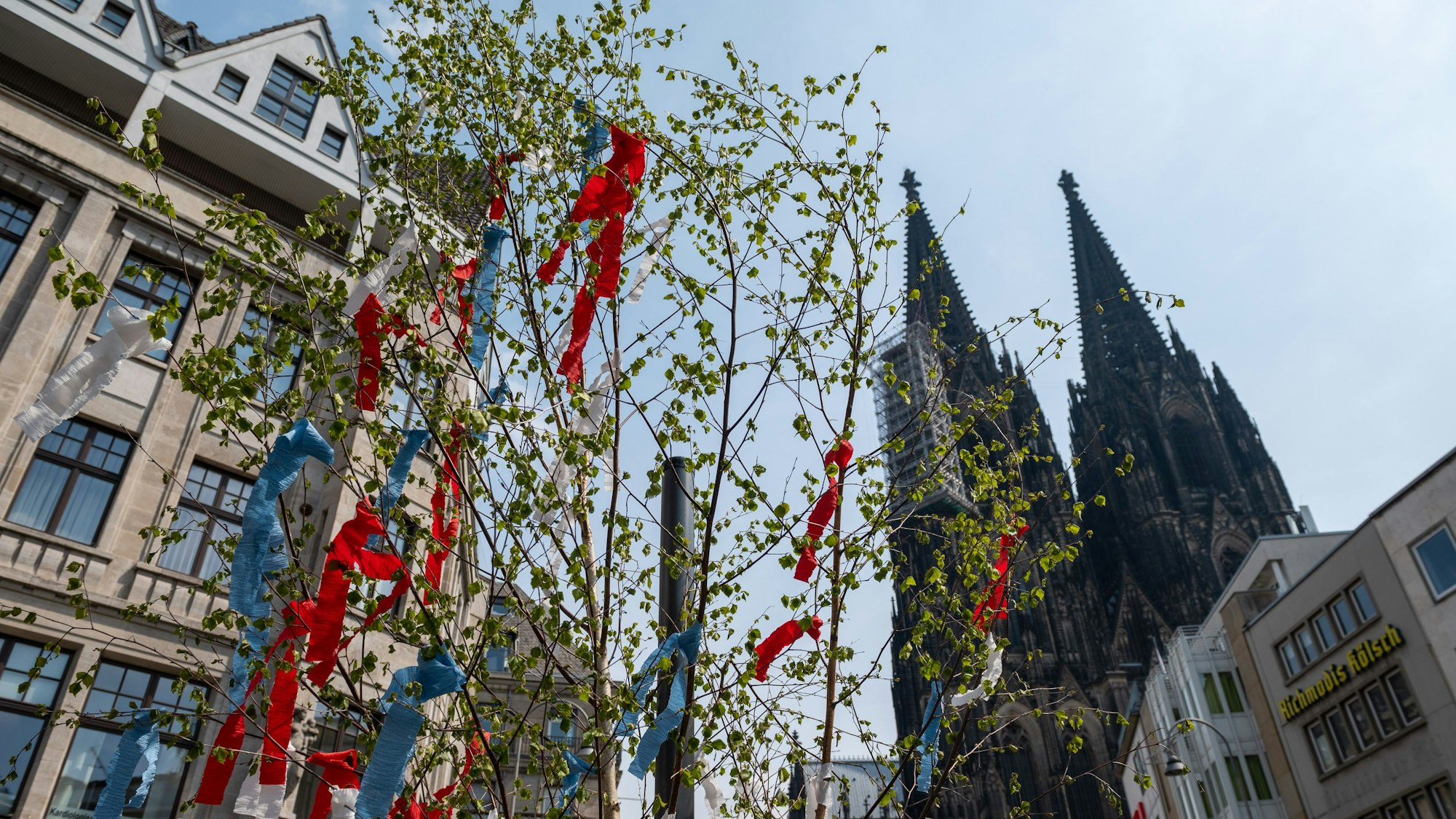 Maibaum vor dem Dom.