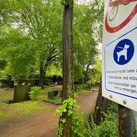 Auf dem Bild ist ein Hinweisschild zu sehen, das Hunde erlaubt.