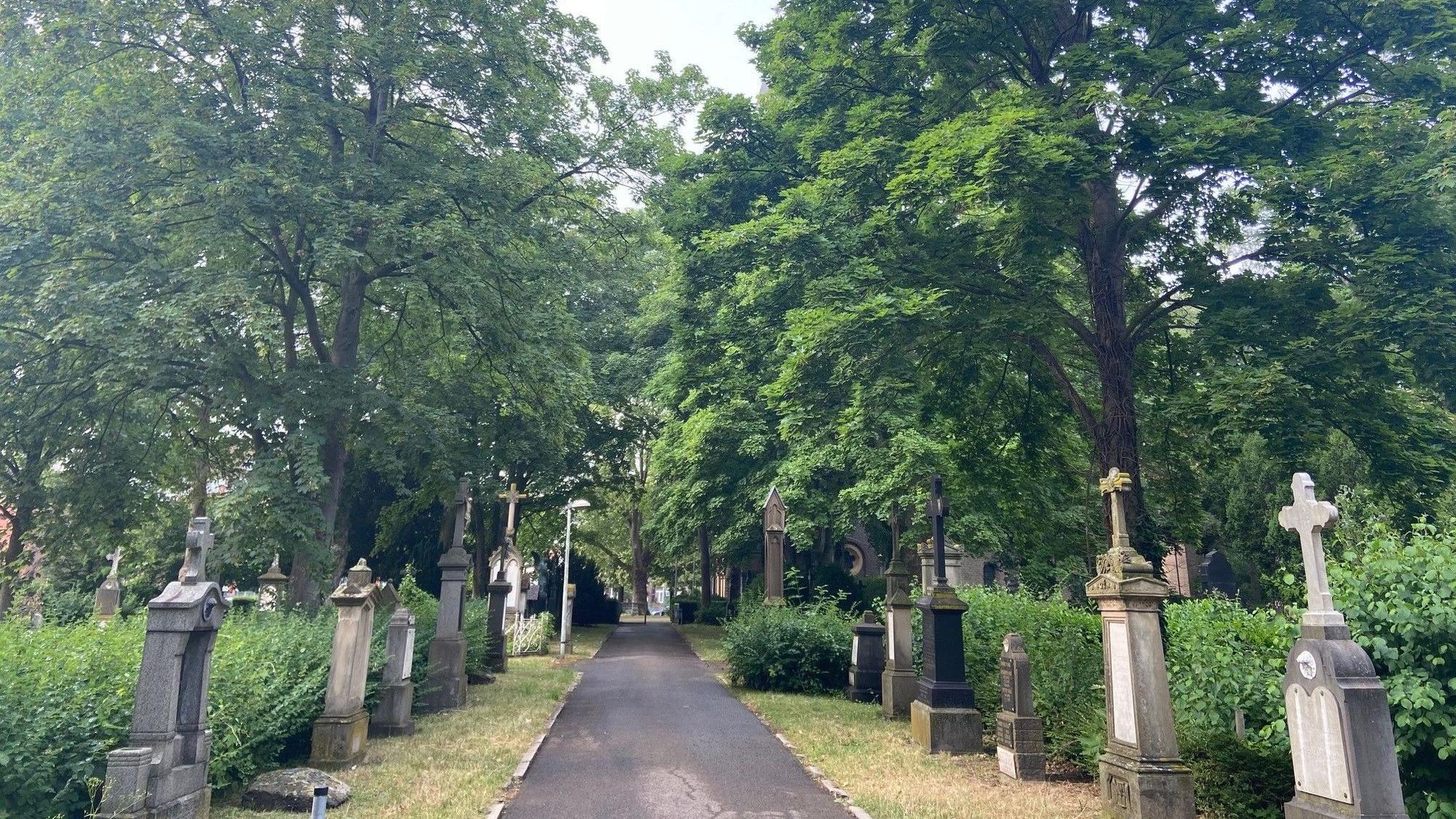 Auf dem Foto ist ein Teil eines alten Friedhofes zu sehen.