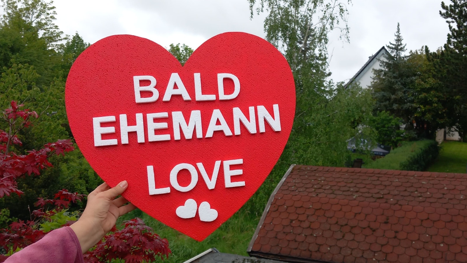 Wohl für einen Heiratsantrag für eine Birke, wie die im Hintergrund.