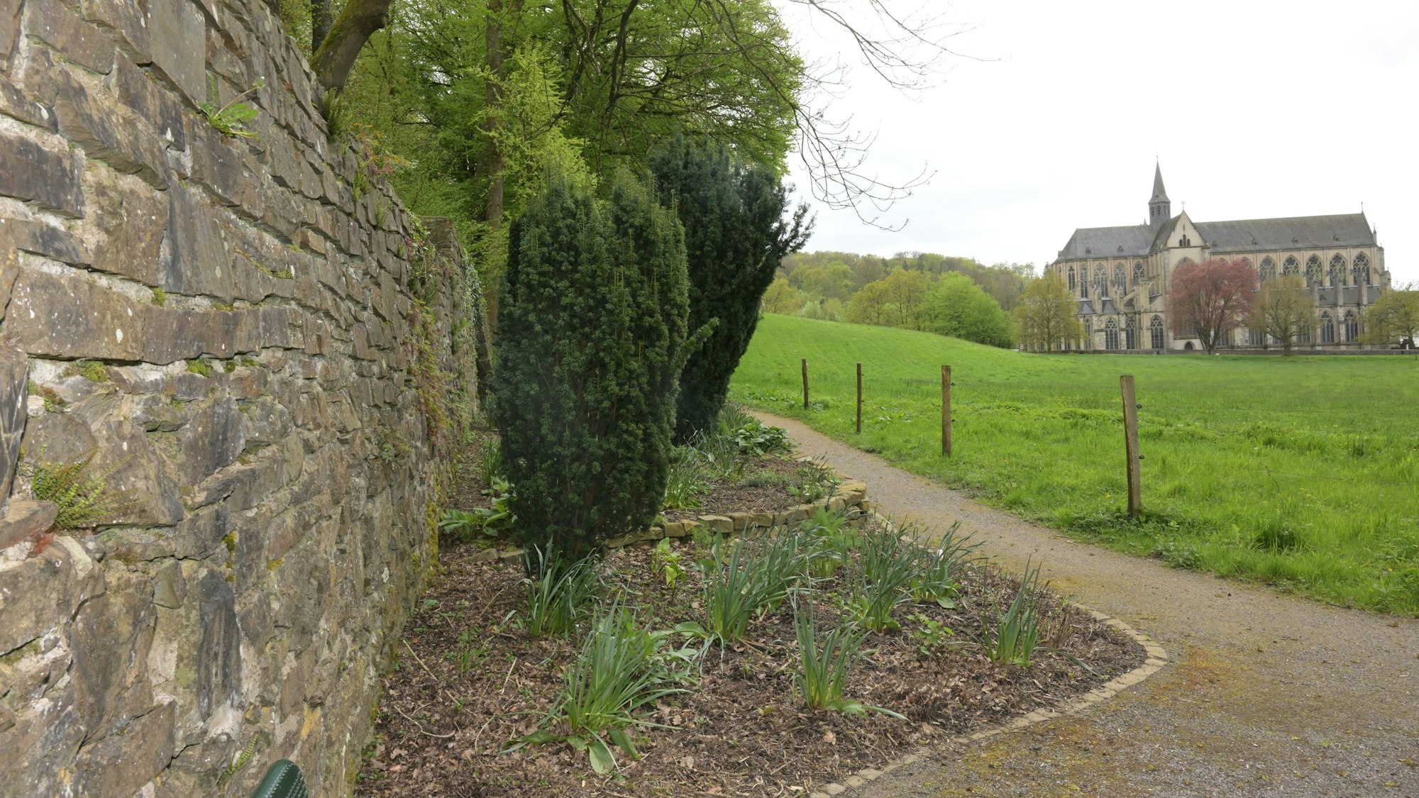 Die Klostermauer von Altenberg, dahinter eine Wiese und der Altenberger Dom.