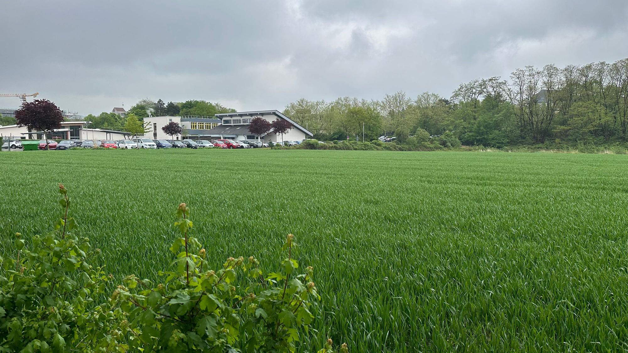 Ein grünes Feld, im Hintergrund ein Gebäude.