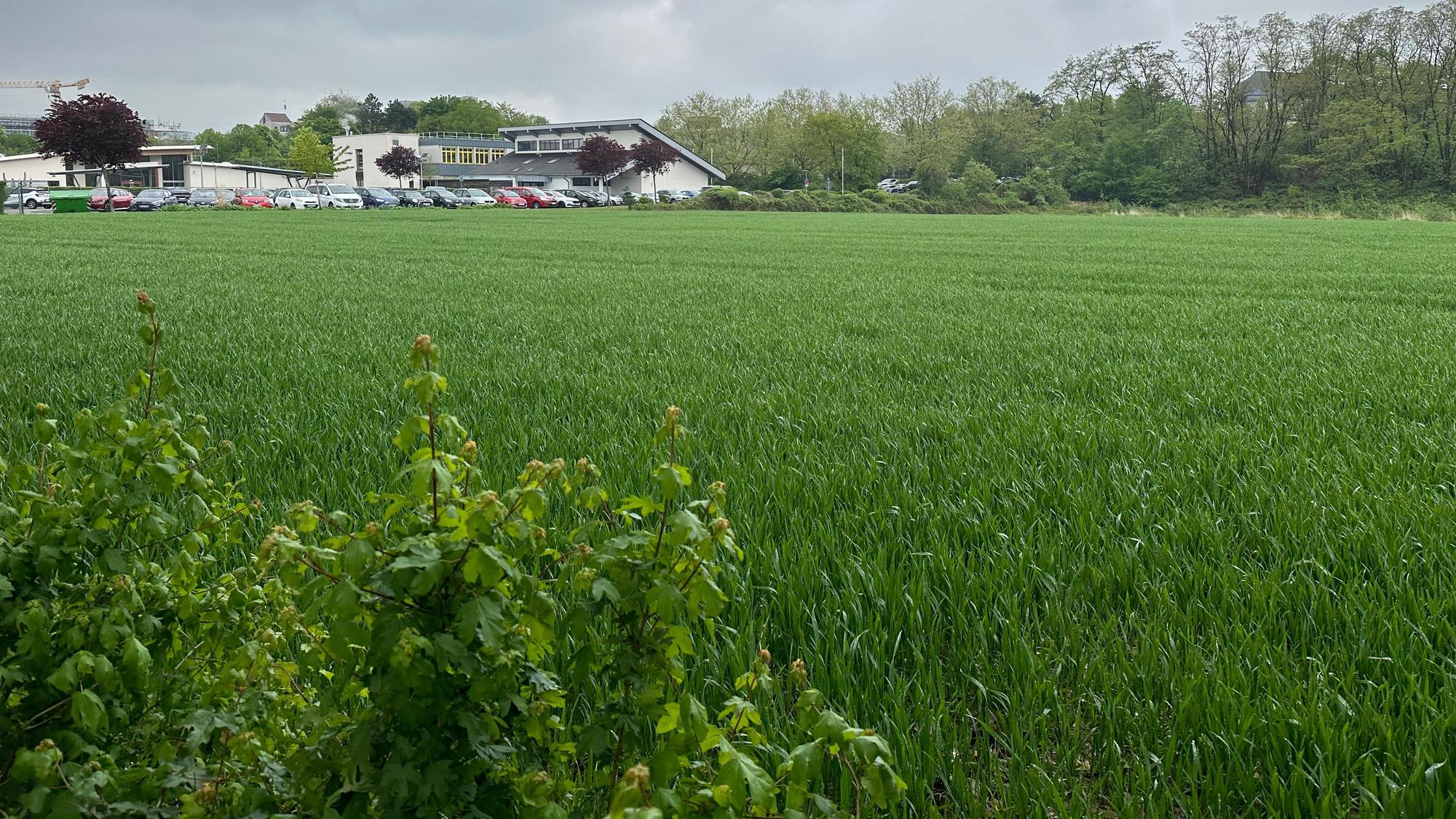 Ein Feld im Vordergrund, dahinter die Gebäude der Heinrich-Hanselmann-Förderschule des Kreises. Am, Rande der Fläche könnte bei entsprechender Nachfrage eine Mobilitätsstation, früher Parkhaus genannt, entstehen