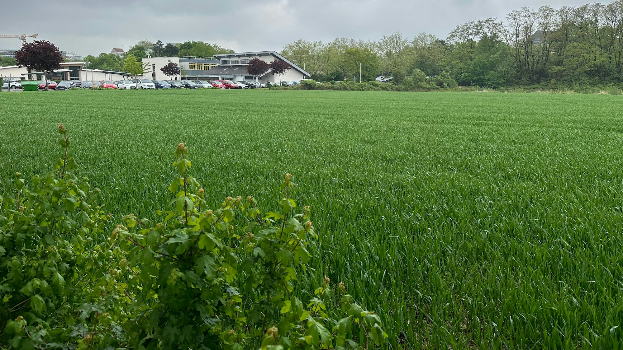 Ein Feld im Vordergrund, dahinter die Gebäude der Heinrich-Hanselmann-Förderschule des Kreises. Am, Rande der Fläche könnte bei entsprechender Nachfrage eine Mobilitätsstation, früher Parkhaus genannt, entstehen