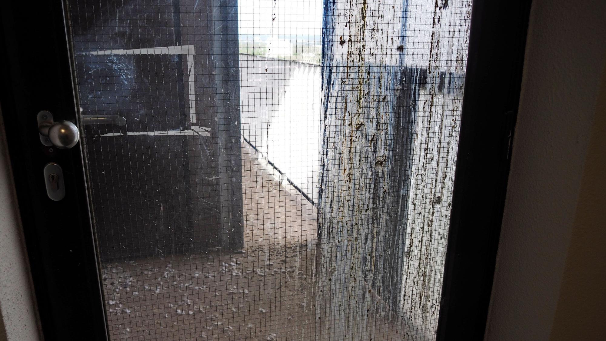 Mieter beklagen verschmutzte Bereiche in den Wohngebäuden.
