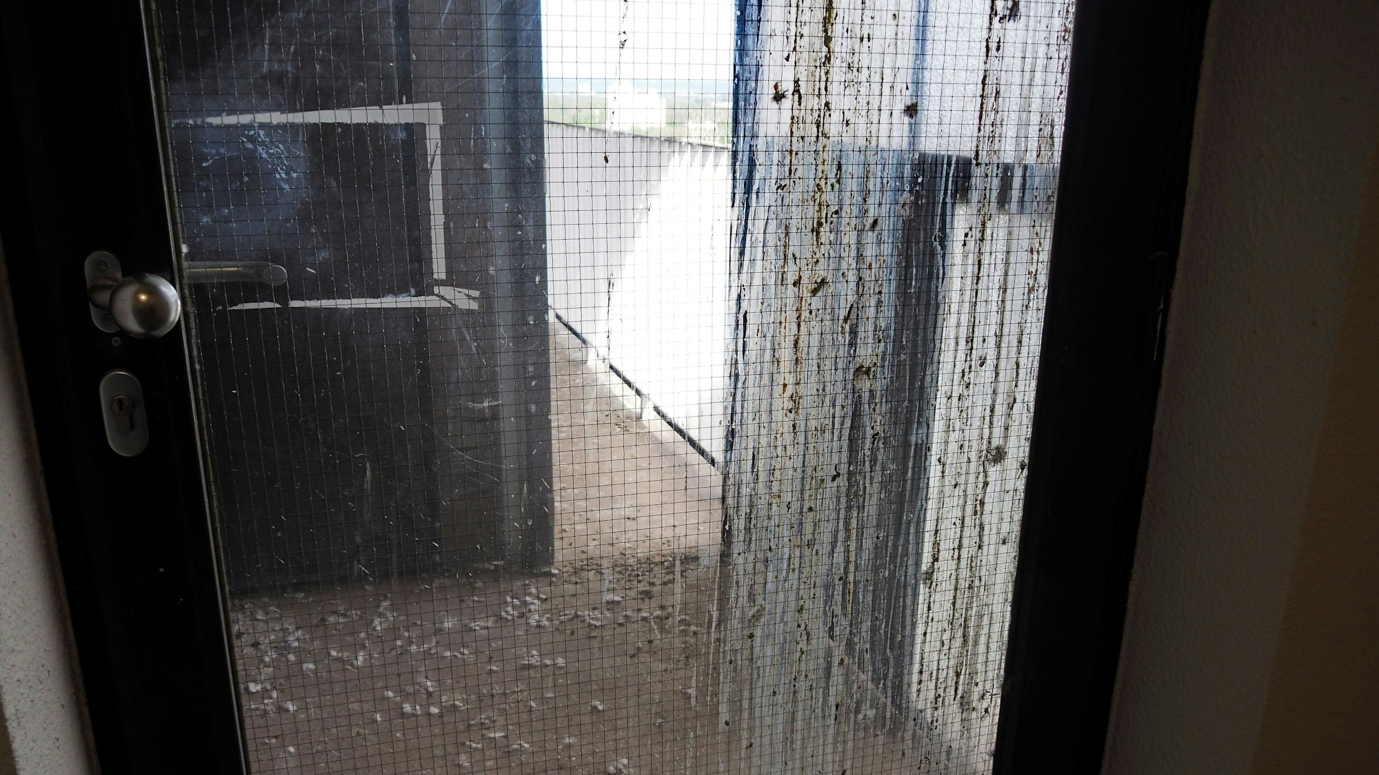 Mieter beklagen verschmutzte Bereiche in den Wohngebäuden.