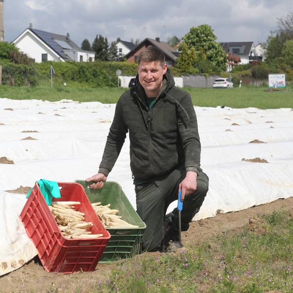 Spargel von der Familie Trimborn von Gut Schiefelbusch auf dem Feld in Siegburg-Braschoss.
Juniorchef Andreas Brschoss im Spargelfeld in Siegburg-Braschoss, wo allerdings erst in drei Wochen mit der Ernte begonnen wird. Der Spargel ist vom Feld in Brück vom frühen Feld, das 200 Meter niedriger liegt.