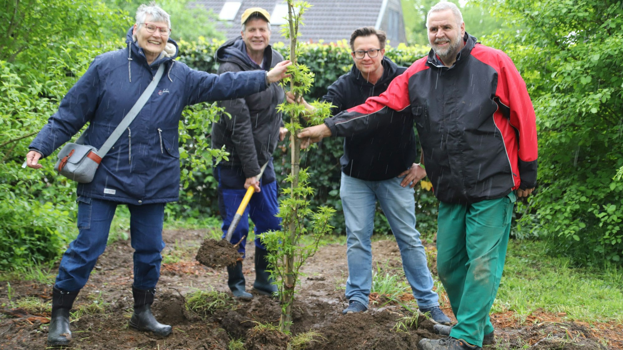 Angelika Longerich (OGS-Leiterin), Rainer Braun Paffhausen (Geschäftsführer der KJA), Sebastian Krömer (OT-Leiter) und Johannes Scheya (Gärtner) pflanzten einen Liquidamba-Baum.