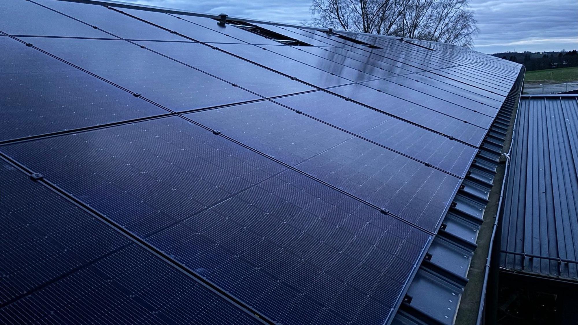 Zu sehen ist das Dach der Turnhalle, das mit Solarmodulen belegt ist.