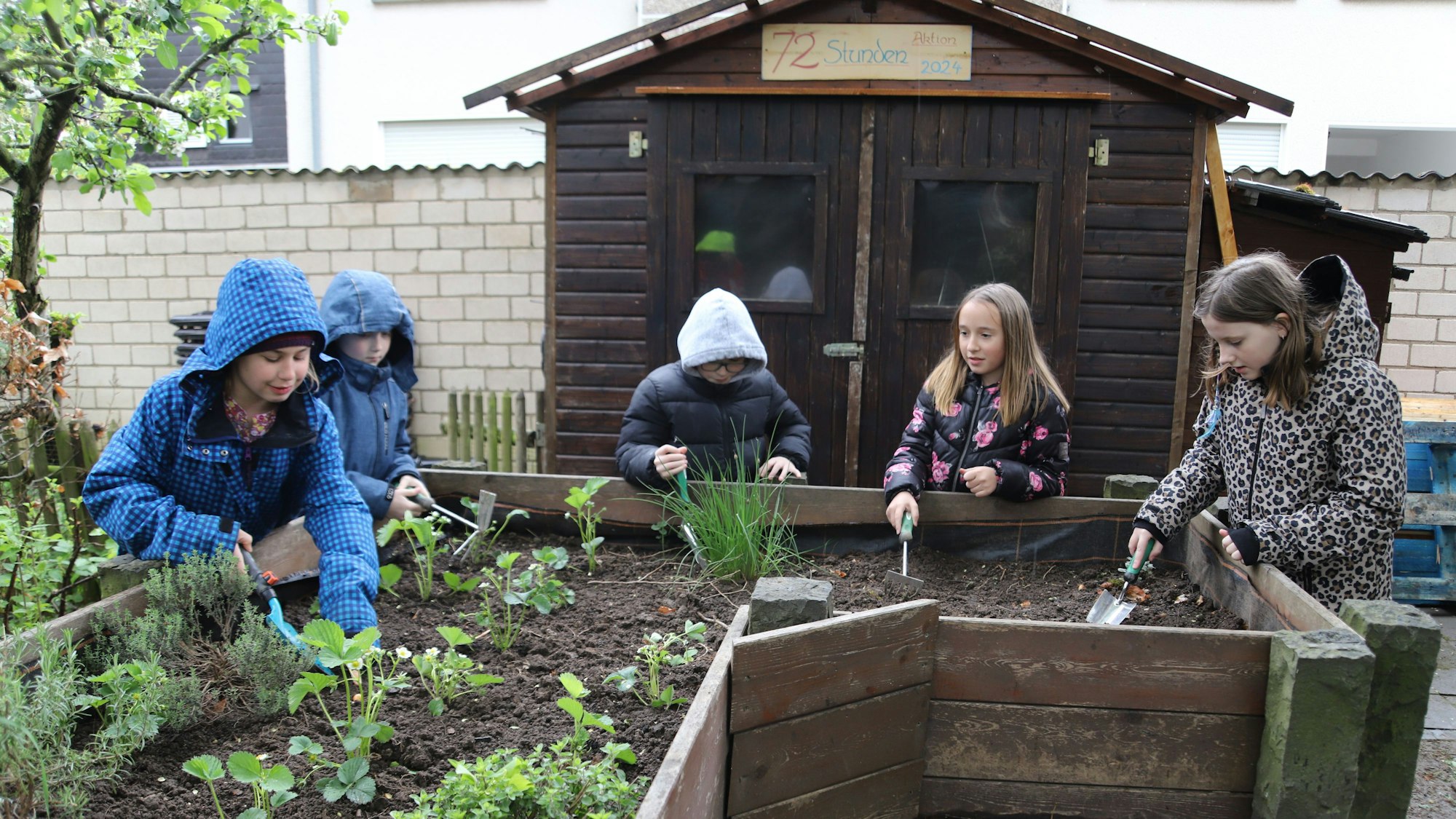 Hannah, Philipp, Platon, Tessa und Ida (v.l.) pflanzten bei der 72-Stunden-Aktion des Bundes der Deutschen Katholischen Jugend (BDKJ) das Hochbeet neu.