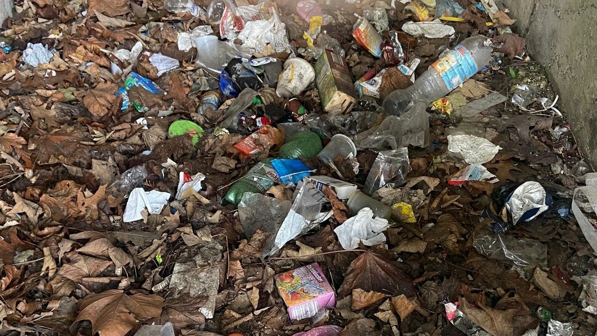 Auf dem Bild ist ein Haufen Müll zu sehen.