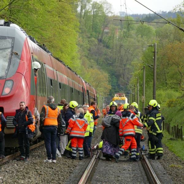 Gegen 15.30 Uhr krachte der Zug gegen den über die Strecke hängenden Baum, die Frontscheibe zersplitterte.