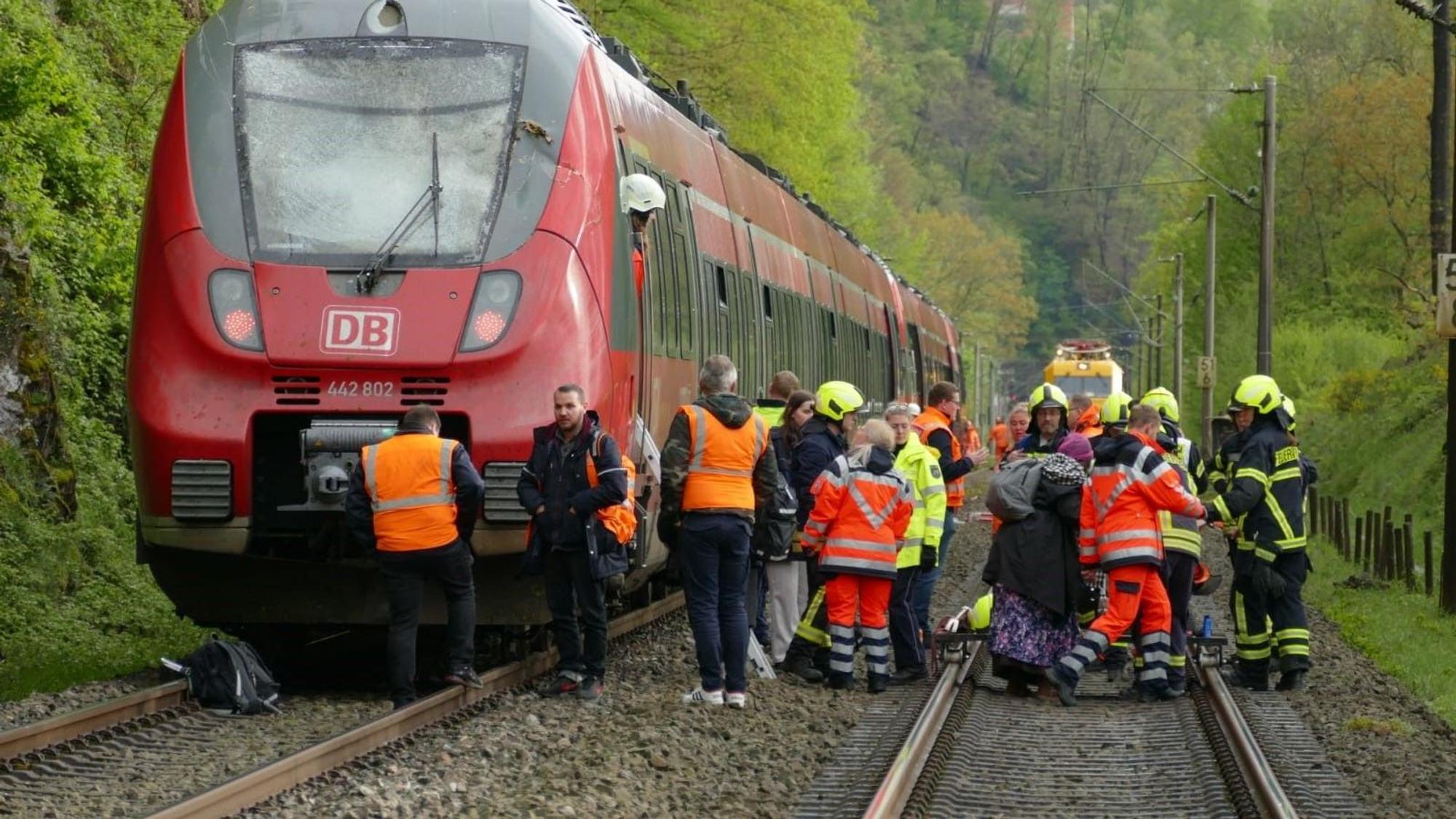 Gegen 15.30 Uhr krachte der Zug gegen den über die Strecke hängenden Baum, die Frontscheibe zersplitterte.