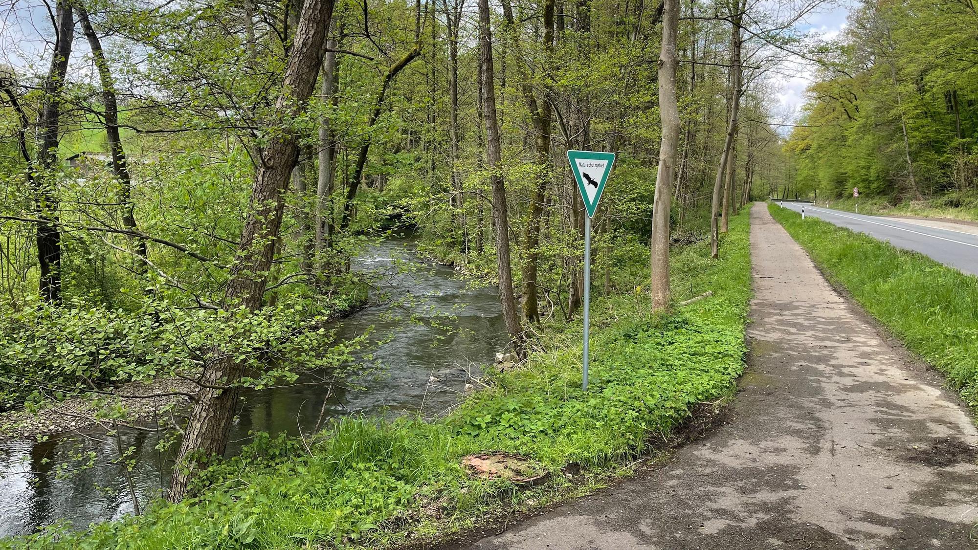 Ein geschwungener Radweg in einem Naturschutzgebiet führt entlang eines plätschernden Flusses, der von Bäumen gesäumt ist.