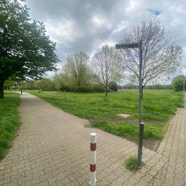 Die geplante Klimaschutzsiedlung mit mehr als 130 Wohneinheiten entsteht auf einem drei Hektar großen Areal und wird von der Nibelungenstraße her über eine Straße erschlossen, die parallel zum Senkelsgraben verlaufen soll.