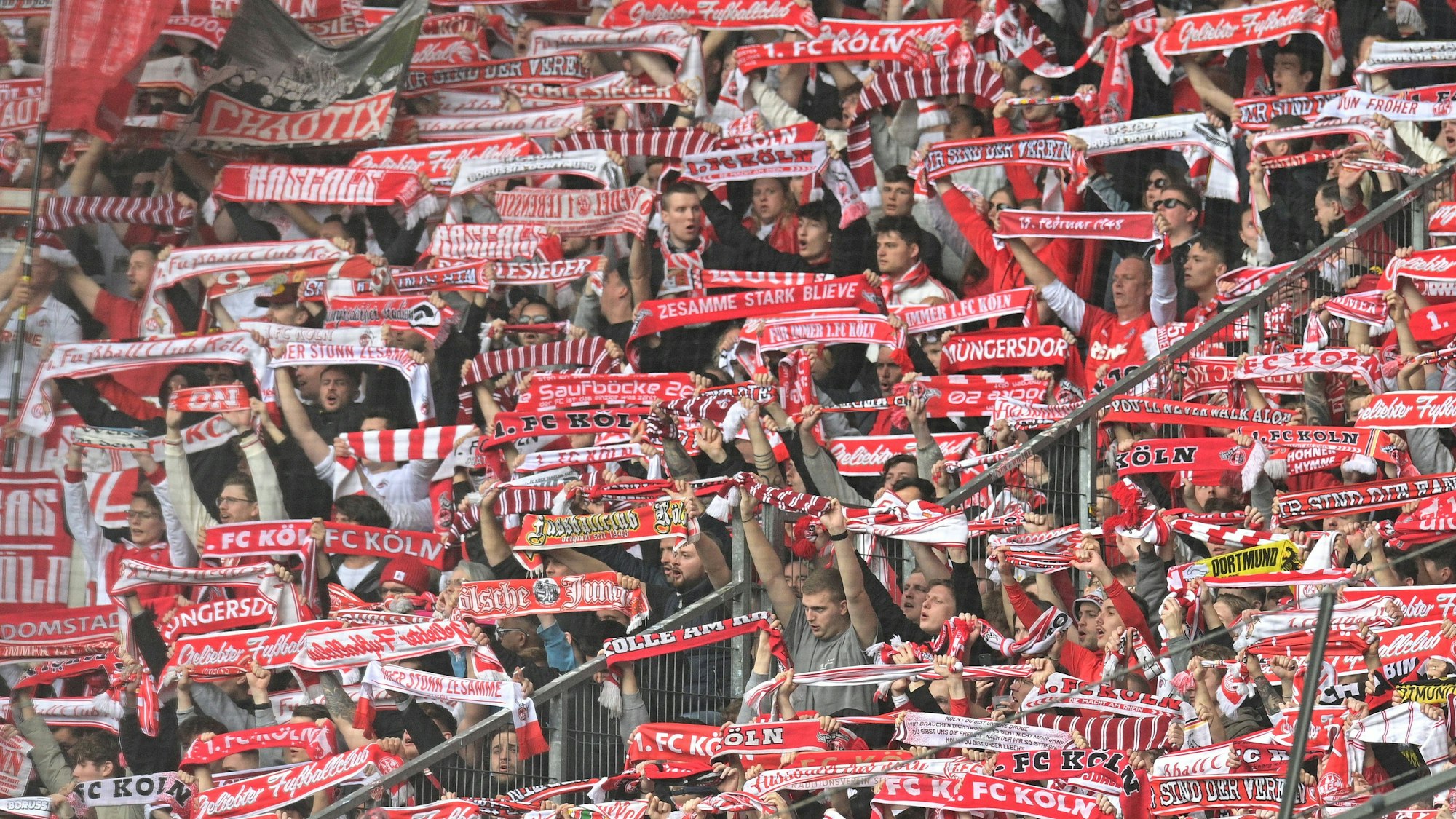 Kölner Kurve bei Bundesligaspiel gegen den Erzrivalen Borussia Moenchengladbach.