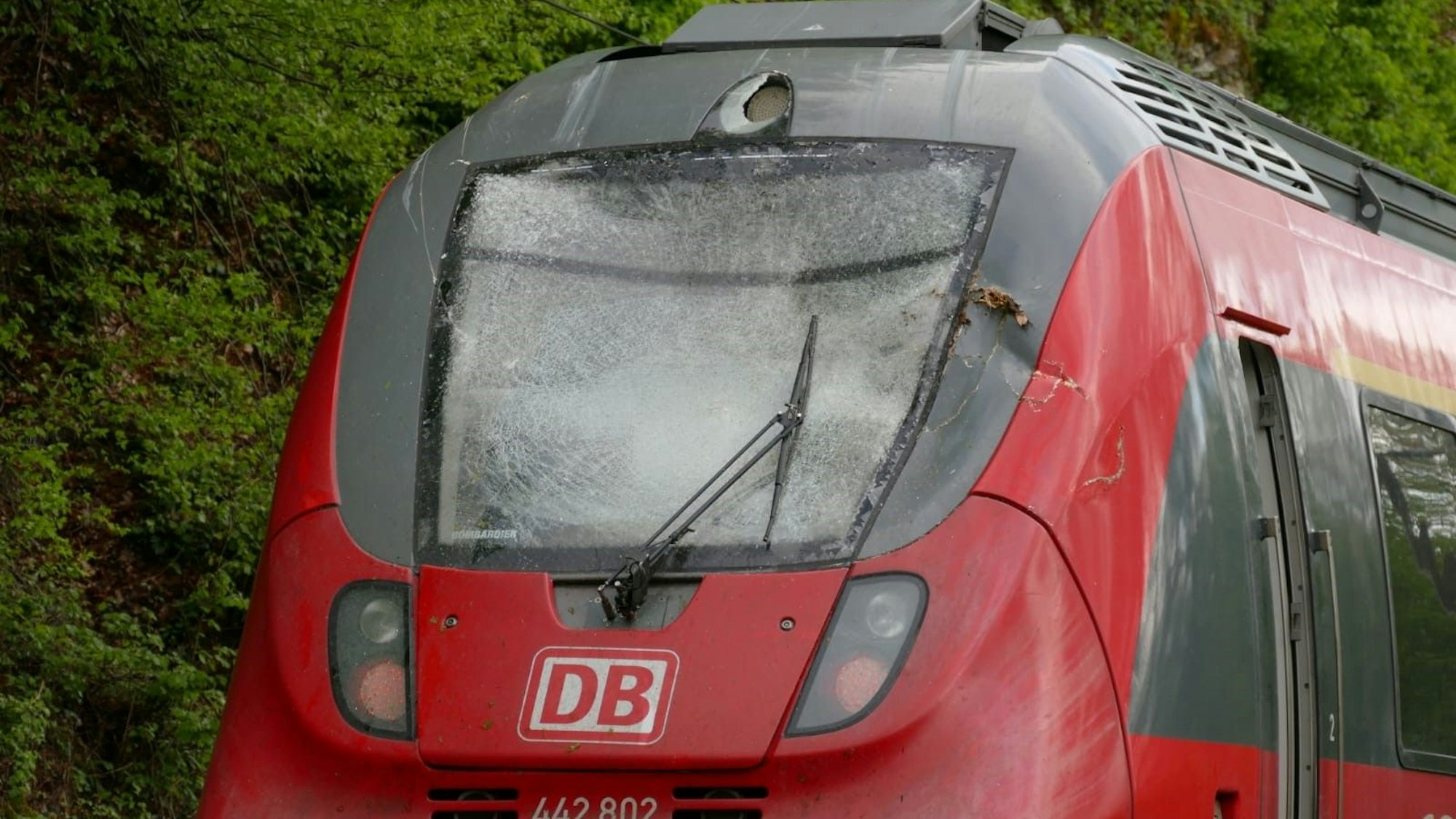 Gegen 15.30 Uhr krachte der Zug gegen den über die Strecke hängenden Baum, die Frontscheibe zersplitterte.