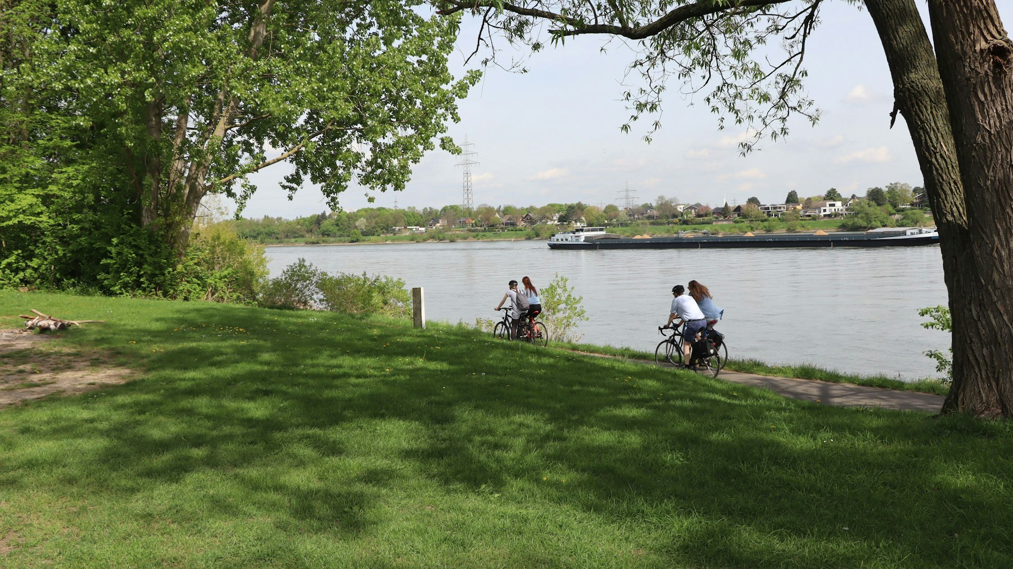 Auf dem Bild ist das Rheinufer in Urfeld zu sehen.