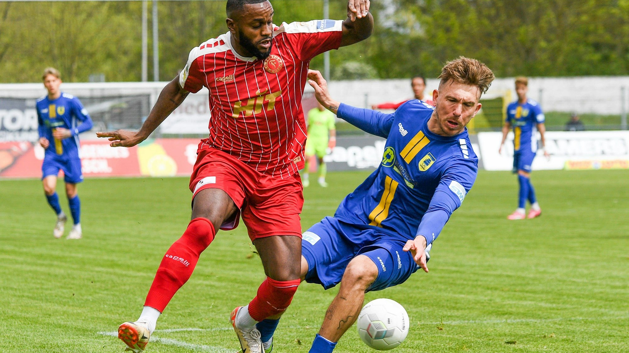 v.li.: Arnold Budimbu Fortuna Köln, 17, Vincent Geimer 1. FC Düren, 7, Zweikampf, Duell, duel, tackle, tackling, Dynamik, Action, Aktion, 20.04.2024, Düren Deutschland, Fussball, Regionalliga West, 1. FC Düren - SC Fortuna Köln *** v li Arnold Budimbu Fortuna Köln, 17 , Vincent Geimer 1 FC Düren, 7 , duel, duel, tackle, tackling, dynamics, action, action, 20 04 2024, Düren Germany , Football, Regionalliga West, 1 FC Düren SC Fortuna Köln xmhx